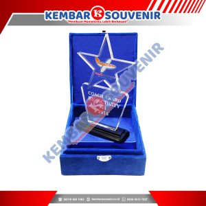Contoh Trophy Akrilik Kota Metro