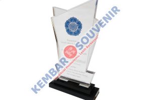 Piala Custom Pemerintah Kabupaten Pulang Pisau