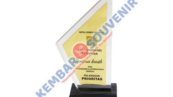 Plakat Penghargaan Ucapan Terima Kasih Kabupaten Ogan Komering Ulu Selatan